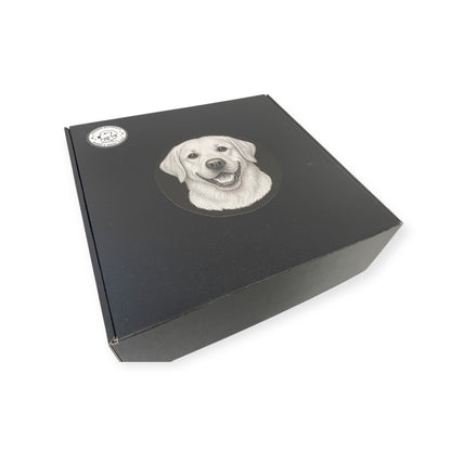 Murren Rotukello™ – Labradorinnoutaja